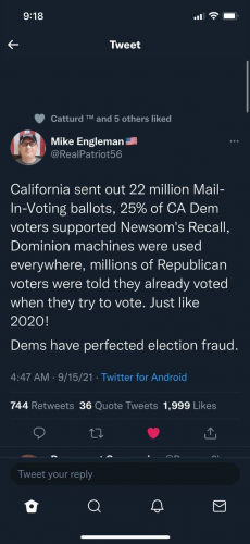 LiberalsPerfectedVoterFraud