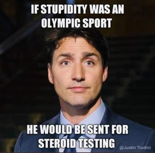 justin trudeau = too stupid