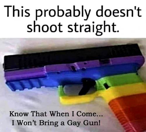 Gay Gun