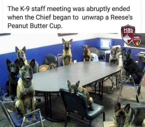 49DB6A83-2E92-4949-B538-A3036BEFDE53