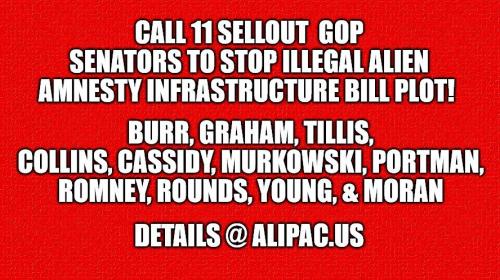 Call11SelloutGOPsenatorsToStopIllegalAmnestyBill