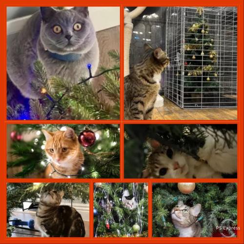 C077C066-3A3B-4DD2-926E-5AF26D2EA654