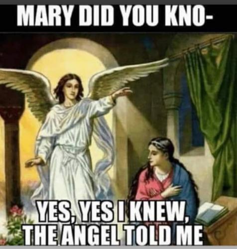 FB_IMG_1670211904447