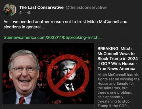mitch the bitch 01