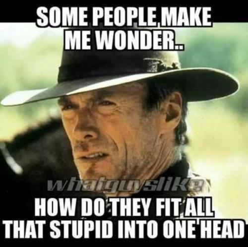USA wonder