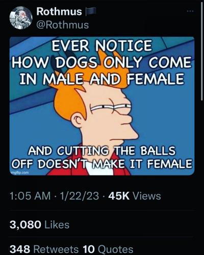 326786237_1193483657940091_8057782010221964949_n