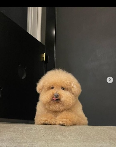 captures_chrome-capture-2023-0-30 (21)