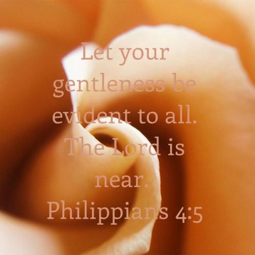 b7e94402-e479-427a-a86d-4ce46bcf911c