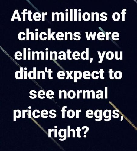 tumblr_ce607bf6be16c996128aa26e58c2dab9_6d7b7ea6_640