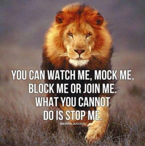 FB watch me