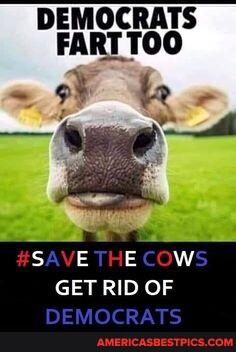 3335d98e-975c-4737-8acd-8c9e8439757a