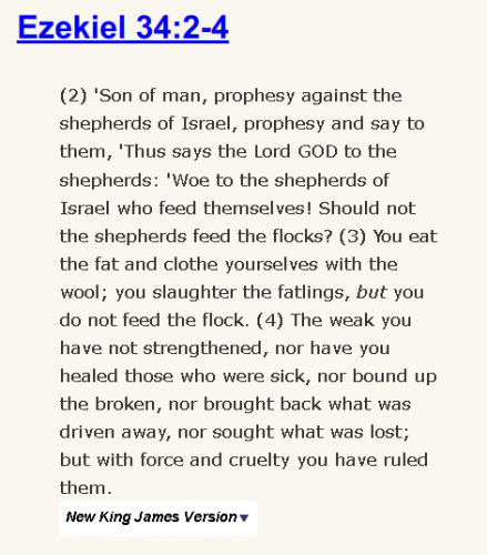 Ezekiel 34:2-4