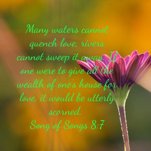 8e5933fd-120f-4400-af55-74d8d4a083fa