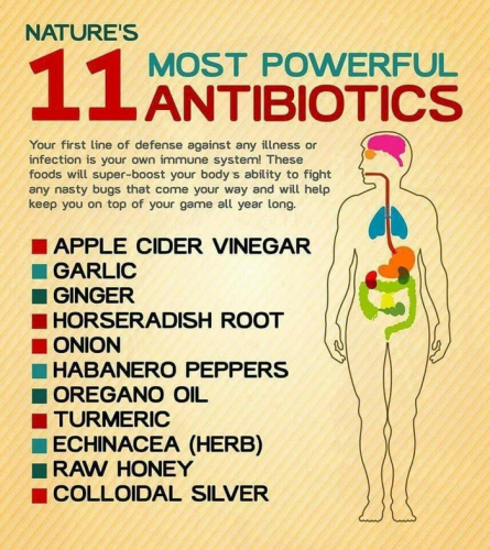 Antibiotics -- Natural Top 11