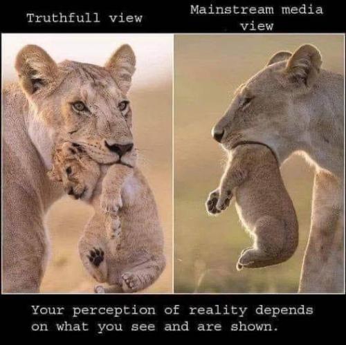 Perception