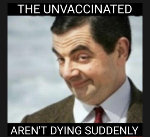 4237DC41-D18D-45F6-9A9E-B5542882FFFA