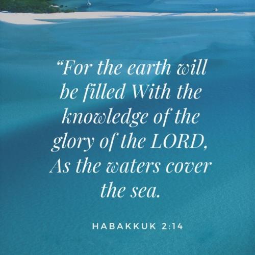 IMG_20230111_101330_866