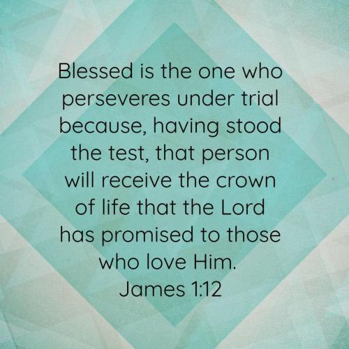 aeba9529-a714-4f6b-931d-4e1bb53fe6b6