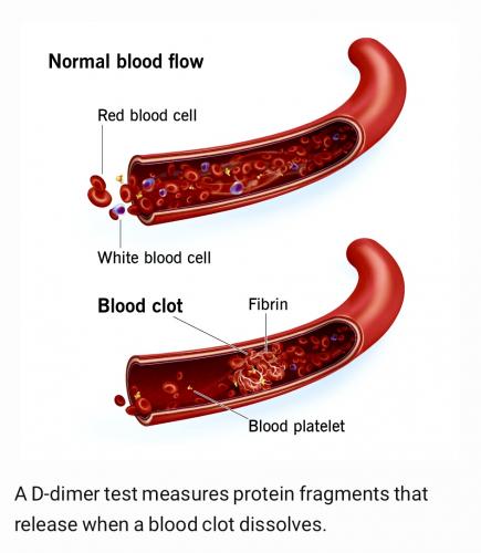 3065B4D8-5F94-4B18-BD74-A71BA24F397C