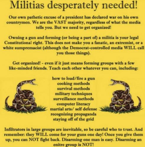 M militias
