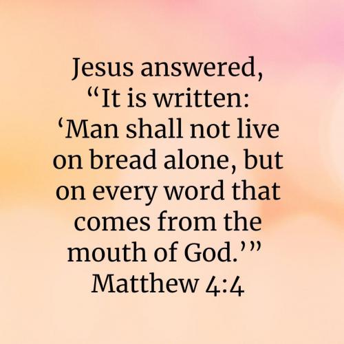 58e5fe80-6c91-409e-9b0e-49e7b2f578c2