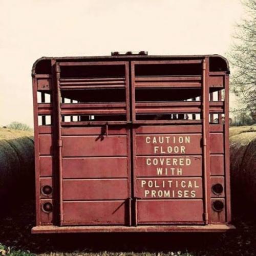 political promises