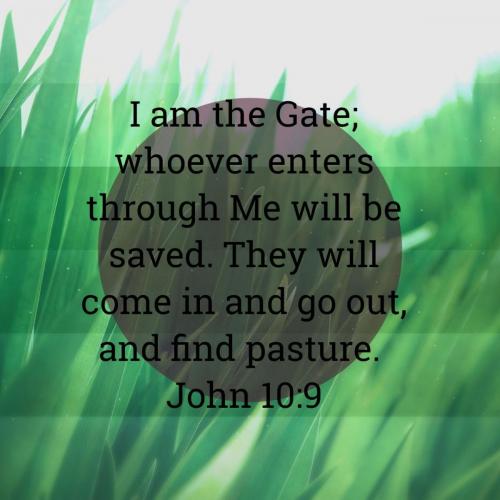 746d8d78-3342-4ba7-a403-c1db38b06fa7