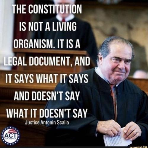 M Constitution