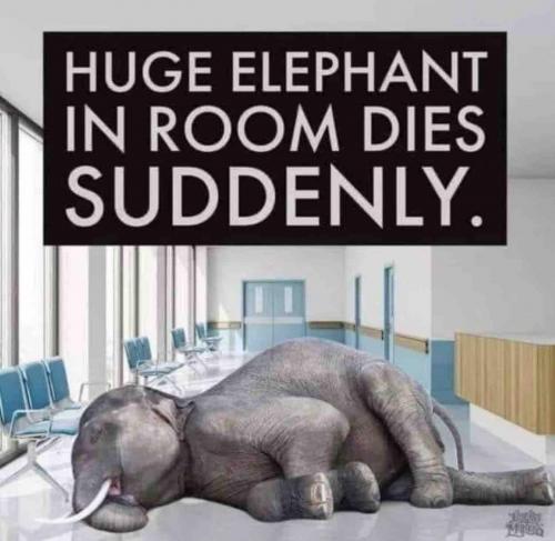 Huge Elephant