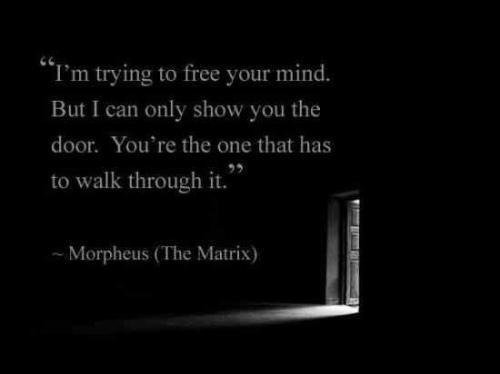 2a20fab8-60fd-44b4-893b-7ee392a2e2f0