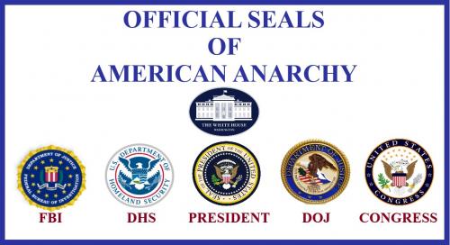 AMERICAN ANARCHY