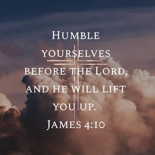 a2d016c2-049f-48a8-ba30-90f1d672a1e3