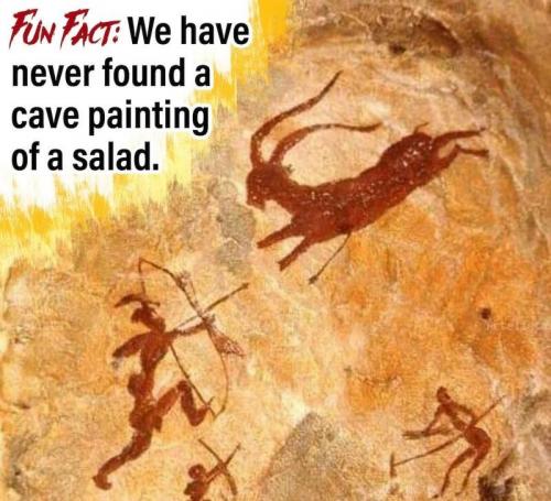 FunFact