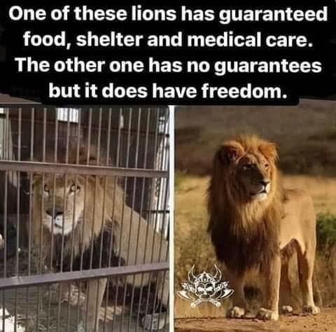 Freedom