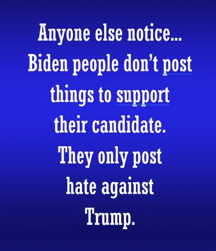 Biden people