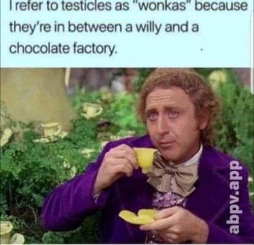 Testicles - 'Wonkas'