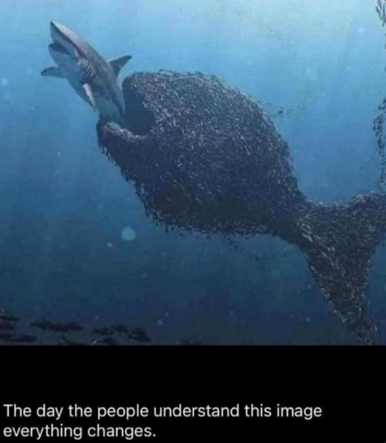 A-00 -
