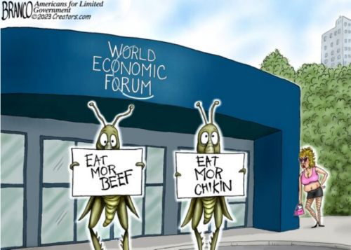 WEF - January convention of hookers 2023