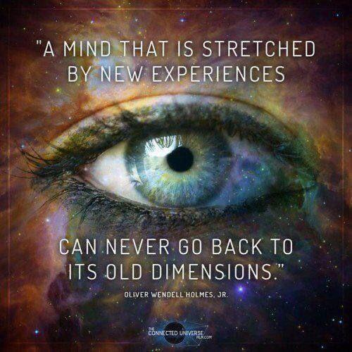 0565f8f6-c0a3-4329-b55f-d98f82a74a2e