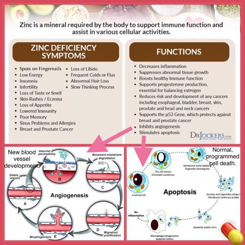 09167FB9-7083-41CD-9908-4051E057D35F