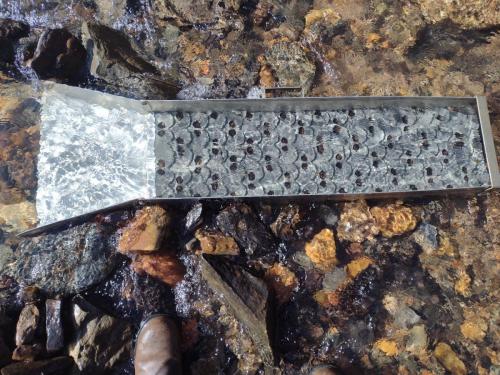 IMG_20230115_133725424