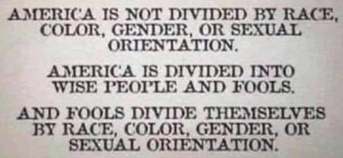 Divisions in America