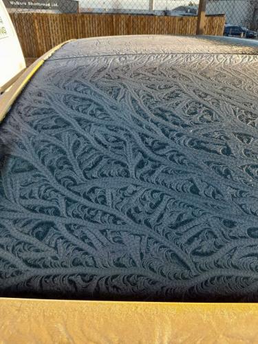 Ice Geometry -- Frost Pattern On A Car