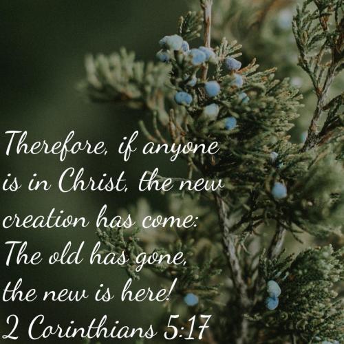 d72fd693-258b-4517-b0cd-19bef6043d27