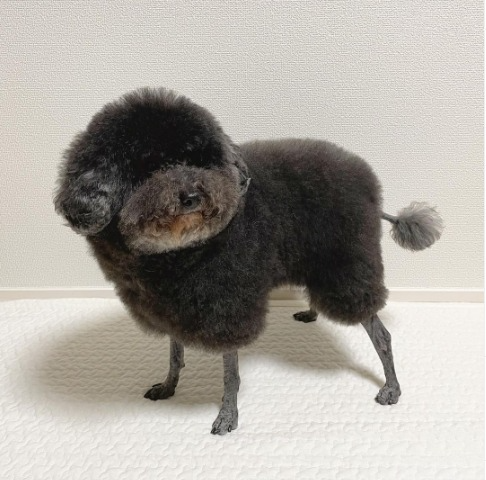 captures_chrome-capture-2023-0-19 (20)