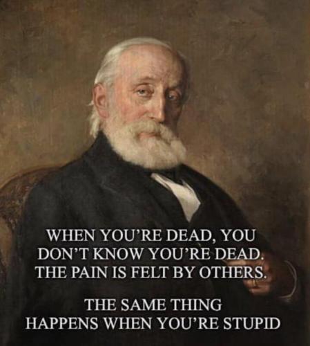 Stupid