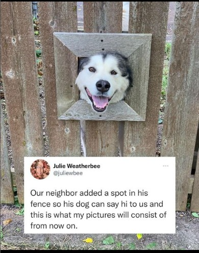 captures_chrome-capture-2023-0-30 (19)