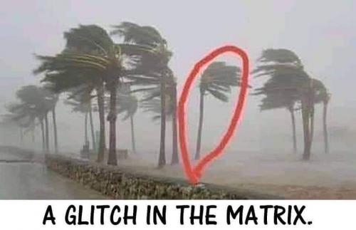 d4d3266c-6ea5-484b-9cf8-40b8fecf192d