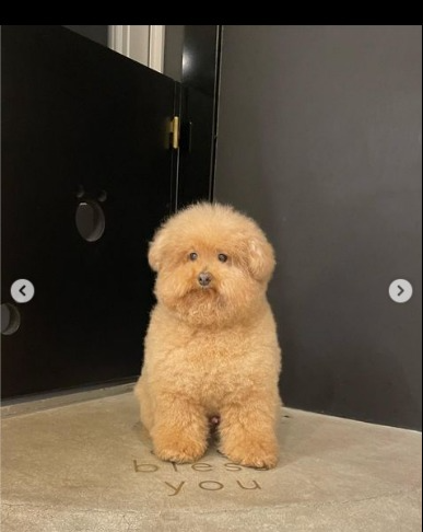 captures_chrome-capture-2023-0-30 (22)