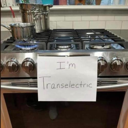 TransElectric